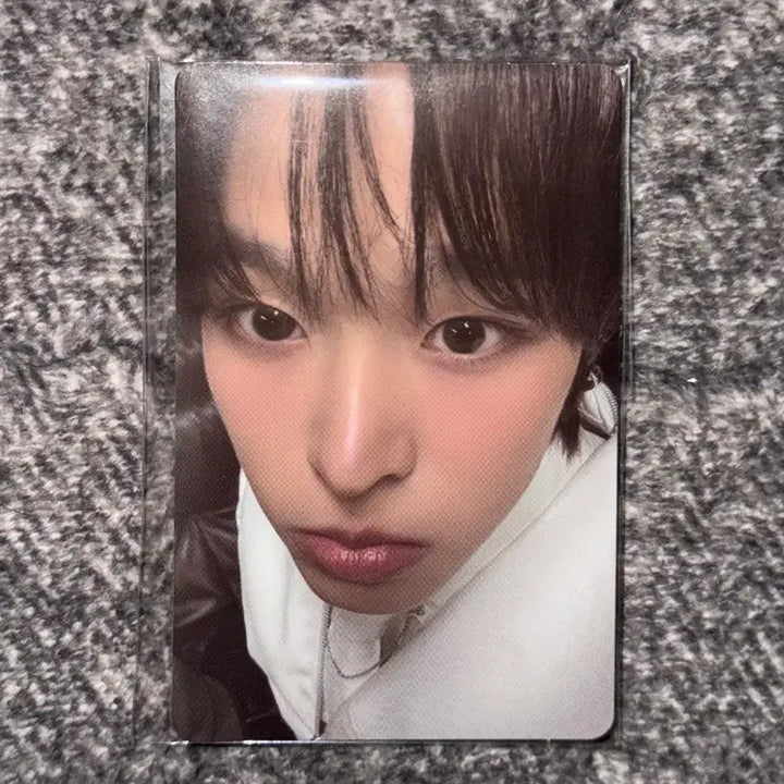 [BUNJANG] NCT WISH Wishniini Medium Plush Cushion Kuriniini Photocard / 엔시티위시 위시니니 미디움 플러쉬 쿠션 쿠리니니 포카 라인마그넷파우치양도