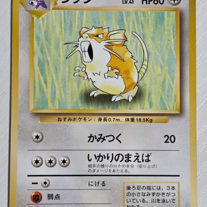 [BUNJANG] Pokemon Card 1996 Original 1st Edition Rap T. / 포켓몬카드 1996 초기 랩타