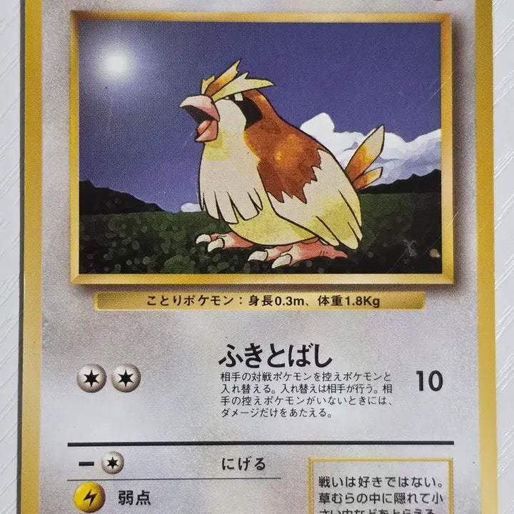 [BUNJANG] Pokemon Card 1996 Early Pidgey / 포켓몬카드 1996 초기 구구