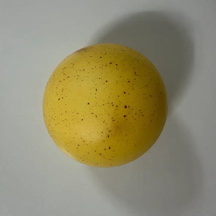 [BUNJANG] Apple Squishy + Potato Bread Squishy Bundle Set / (일괄) 사과 말랑이 + 감자빵 말랑이