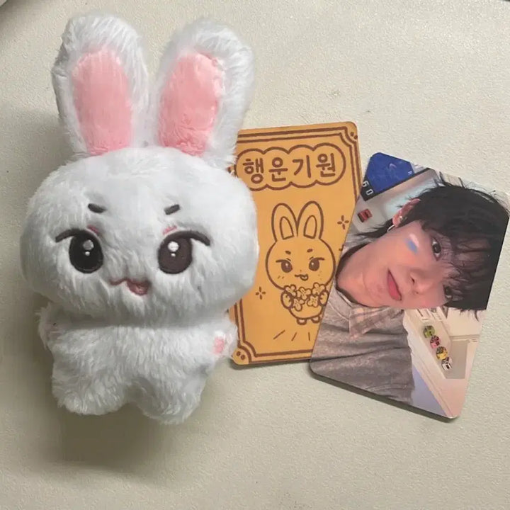 [BUNJANG] Choi Liryu LirDdoA Doll + Fan Meeting Photocard Bundle Set / 최립우 립또아 인형 + 팬미팅 포카 일괄