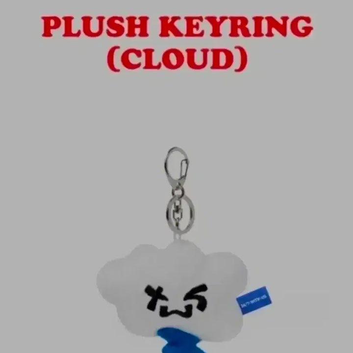 [SOLD OUT] 새상품) 투어스 투름이 키링 판매합니다