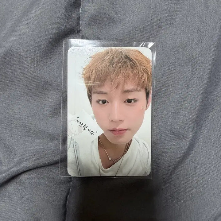 [BUNJANG] Park Jihoon Fancon Exclusive Photocard / 박지훈 팬콘 특정 포카