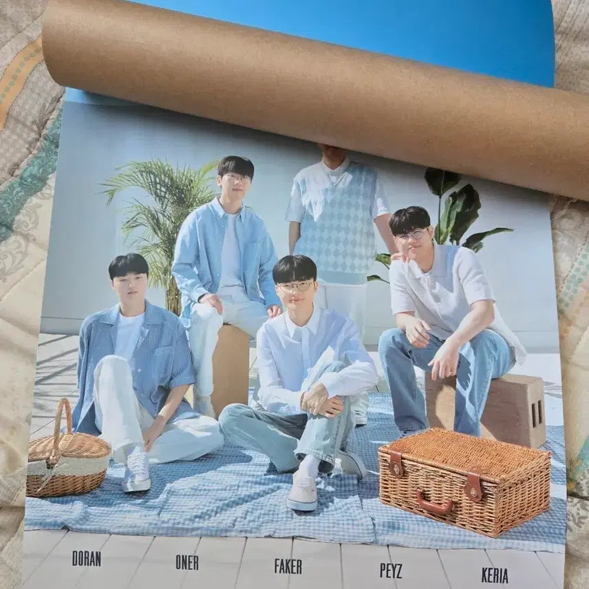 [BUNJANG] T1 Daewoong Pharmaceutical Bromide Poster / T1 대웅제약 브로마이드