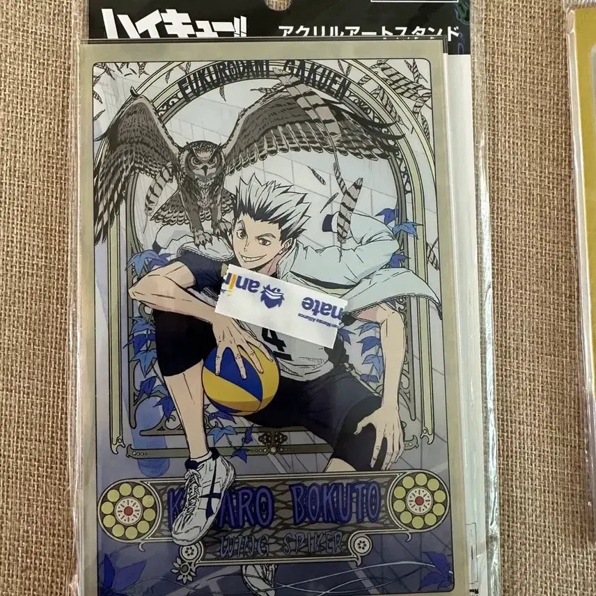 [BUNJANG] Haikyuu!! Animate Acrylic Standee Kotaro Bokuto / 하이큐 애니메이트 아크릴스탠드 보쿠토 코타로