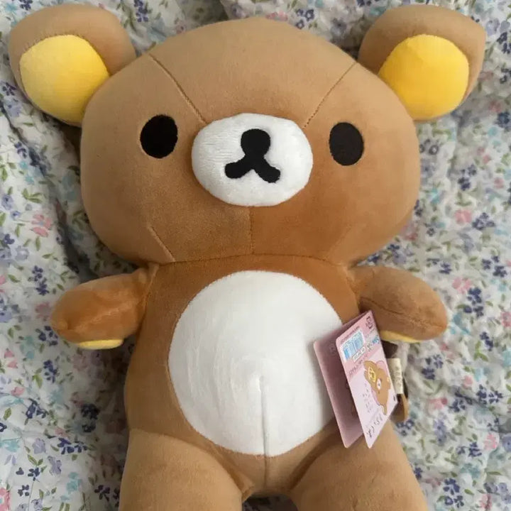 [BUNJANG] Rilakkuma Plush Doll M / 당신곁에 리락쿠마 통통 M