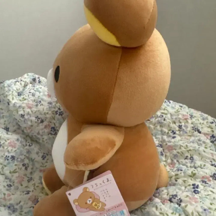 [BUNJANG] Rilakkuma Plush Doll M / 당신곁에 리락쿠마 통통 M