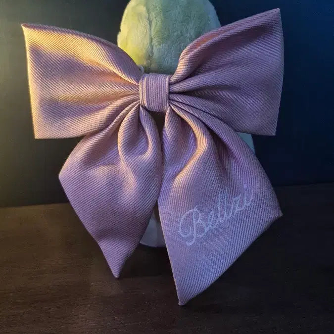 [BUNJANG] Belji Kiwi Bird Plush / 벨지 키위새 인형