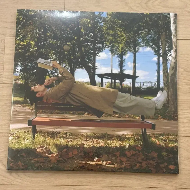 [BUNJANG] Jang Kiha LP / 장기하 LP