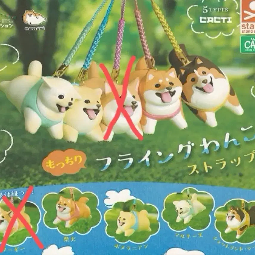 [BUNJANG] Dog Mochi Flying Walking Strap Gacha Capsule Figurines (Set of 4) / 강아지 모찌 플라잉 산책 스트랩 가챠 캡슐