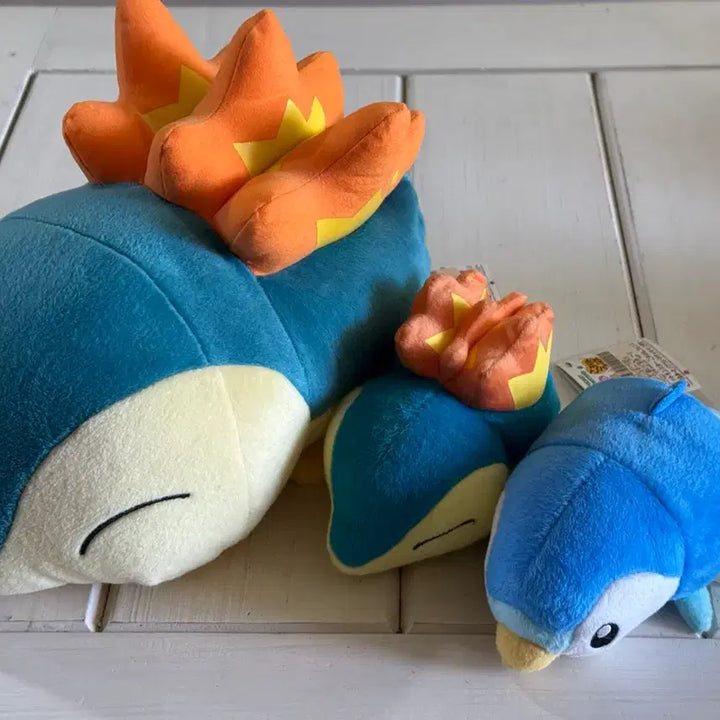 [SOLD OUT] 포켓몬 데구릉 인형 (브케인, 팽도리)