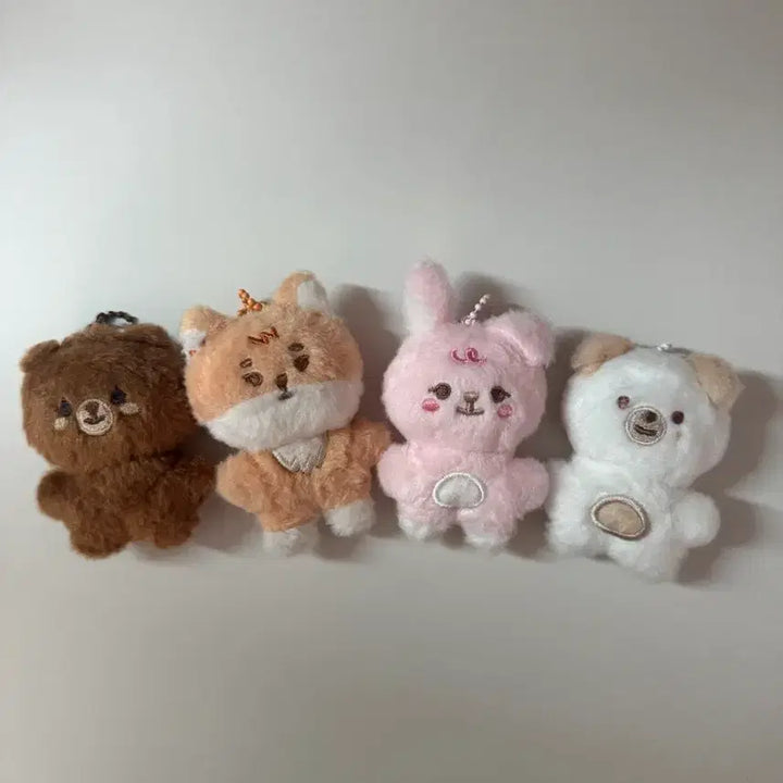 [BUNJANG] Day6 Pp Pp Mul Bangke Pildon Bundle Set / 데이식스 쁘쁘멀 방케필돈