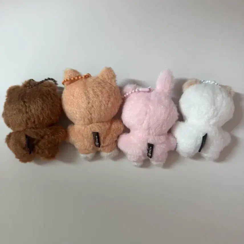 [BUNJANG] Day6 Pp Pp Mul Bangke Pildon Bundle Set / 데이식스 쁘쁘멀 방케필돈