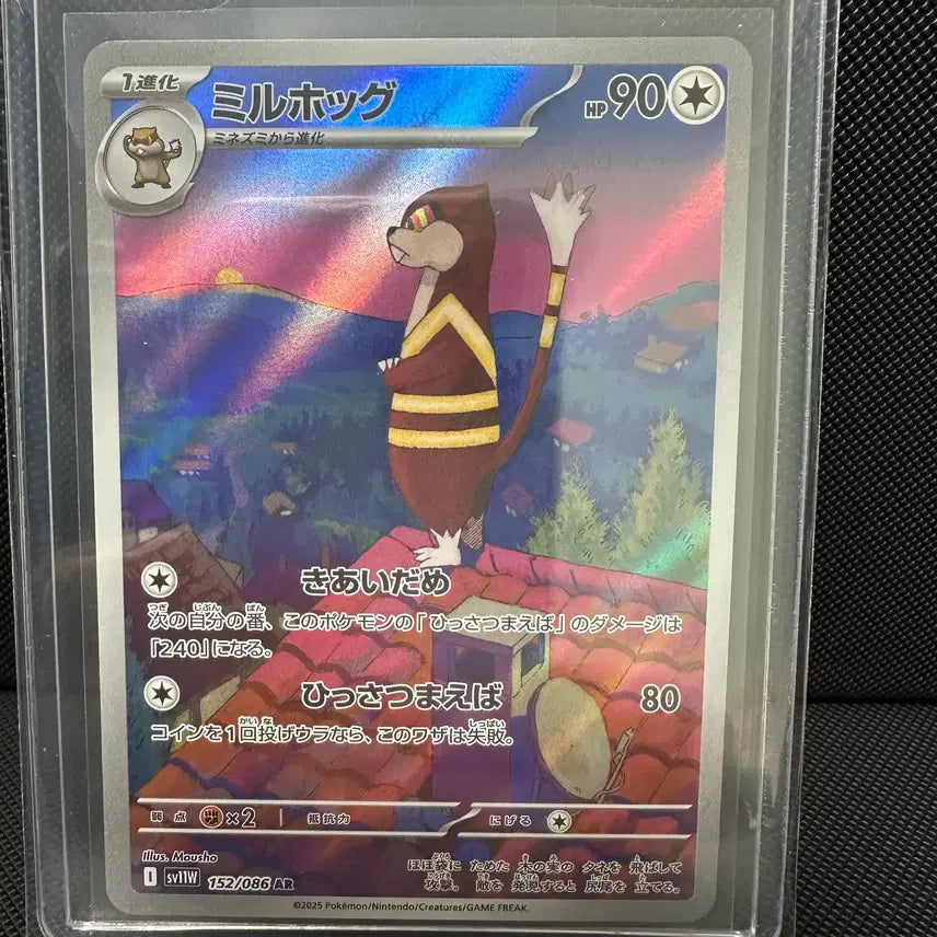 [BUNJANG] Pokemon Cards Japanese AR 5 Types Bundle Set / 철시드, 레파르다스 일판 ar 일괄 판매