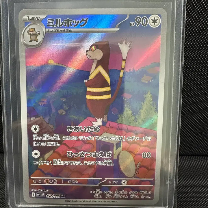 [BUNJANG] Pokemon Cards Japanese AR 5 Types Bundle Set / 철시드, 레파르다스 일판 ar 일괄 판매