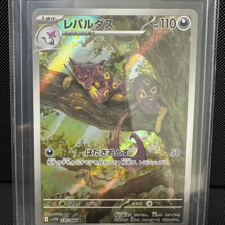 [BUNJANG] Pokemon Cards Japanese AR 5 Types Bundle Set / 철시드, 레파르다스 일판 ar 일괄 판매