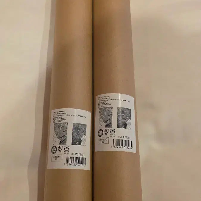 [BUNJANG] My Hero Academia Original Art Exhibition Beginning Poster / 택포10.5)나히아 히로아카 원화전 비기닝 포스터