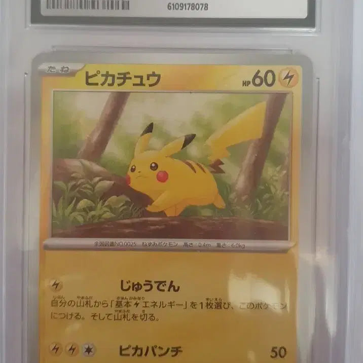 [BUNJANG] Pokemon Pikachu 151 025/165 CGC 10 Gem Mint / 일판 포켓몬 피카츄 151 025/165 cgc10 gem mint