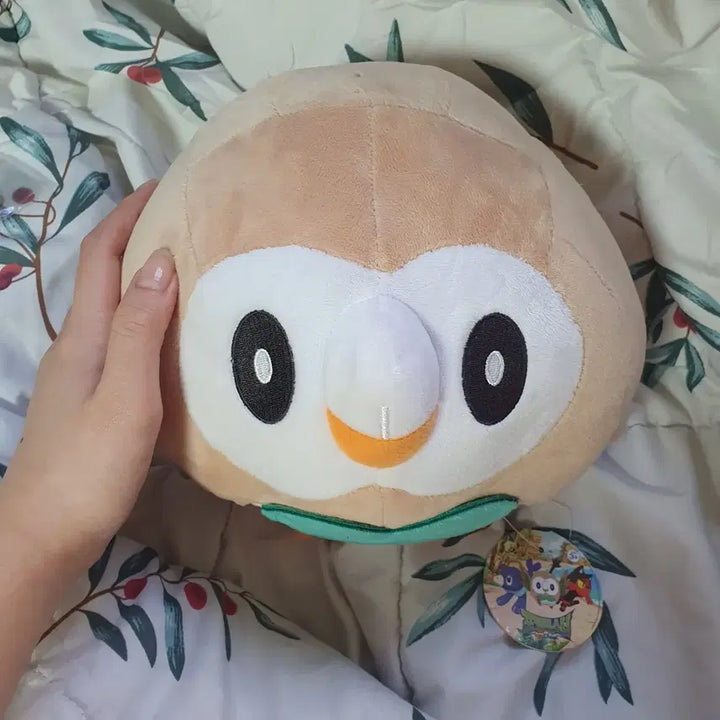 [SOLD OUT] 포켓몬스터 나몰빼미 봉제 인형