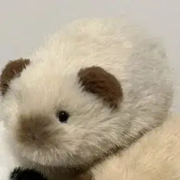 [BUNJANG] Handmade Guinea Pig Plush Toy / 수제 기니피그 인형