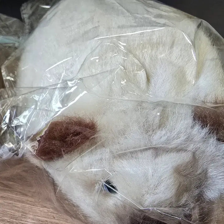 [BUNJANG] Handmade Guinea Pig Plush Toy / 수제 기니피그 인형
