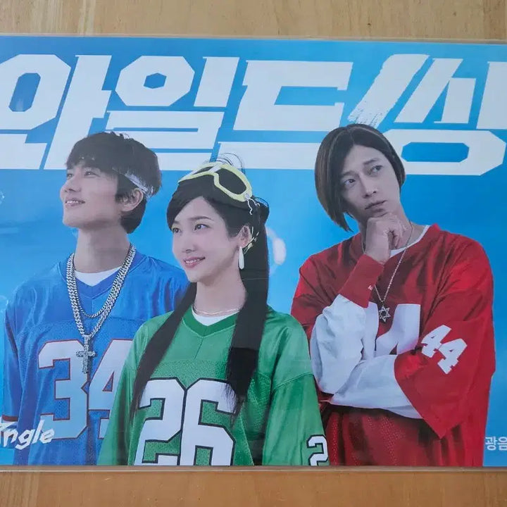 [BUNJANG] Wild Thing Kwang-eum Special Poster / 최저가)와일드씽 광음 스페셜 포스터