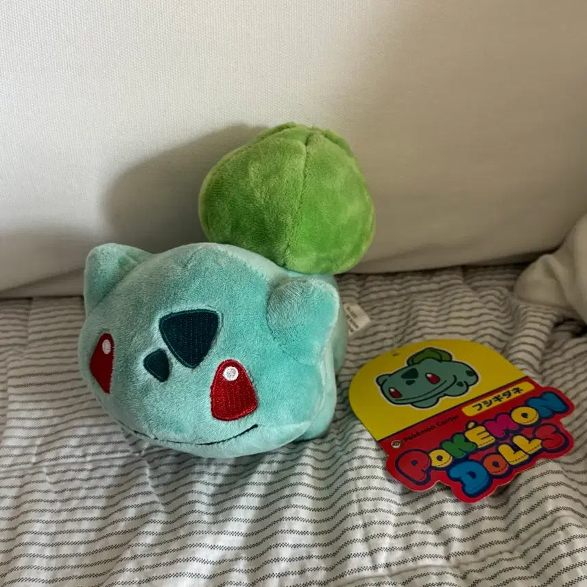 [BUNJANG] Pokemon Dolls Bulbasaur Plush / 포켓몬 돌즈 이상해씨 인형