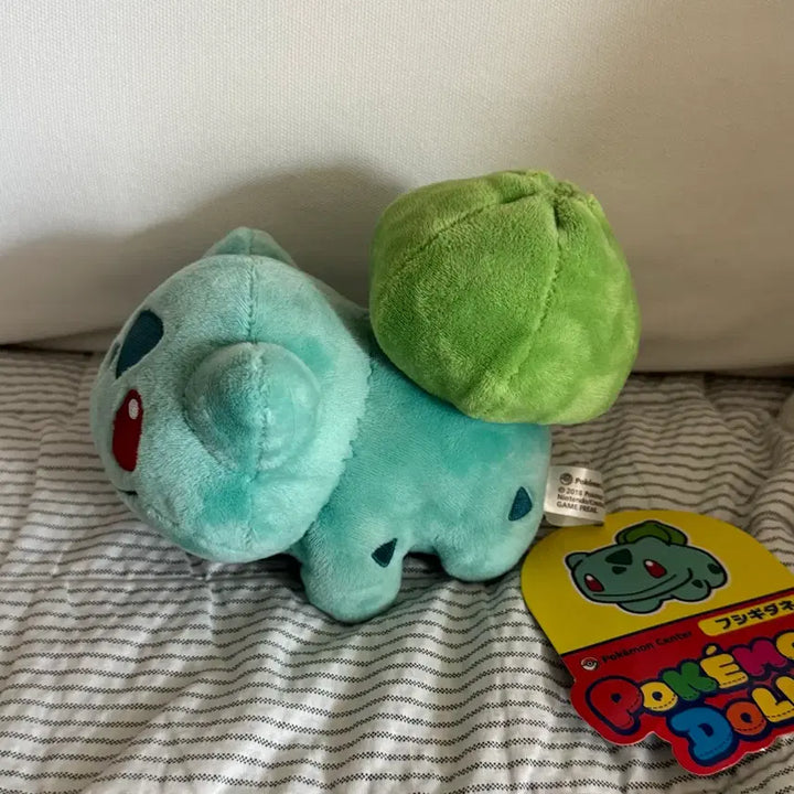 [BUNJANG] Pokemon Dolls Bulbasaur Plush / 포켓몬 돌즈 이상해씨 인형