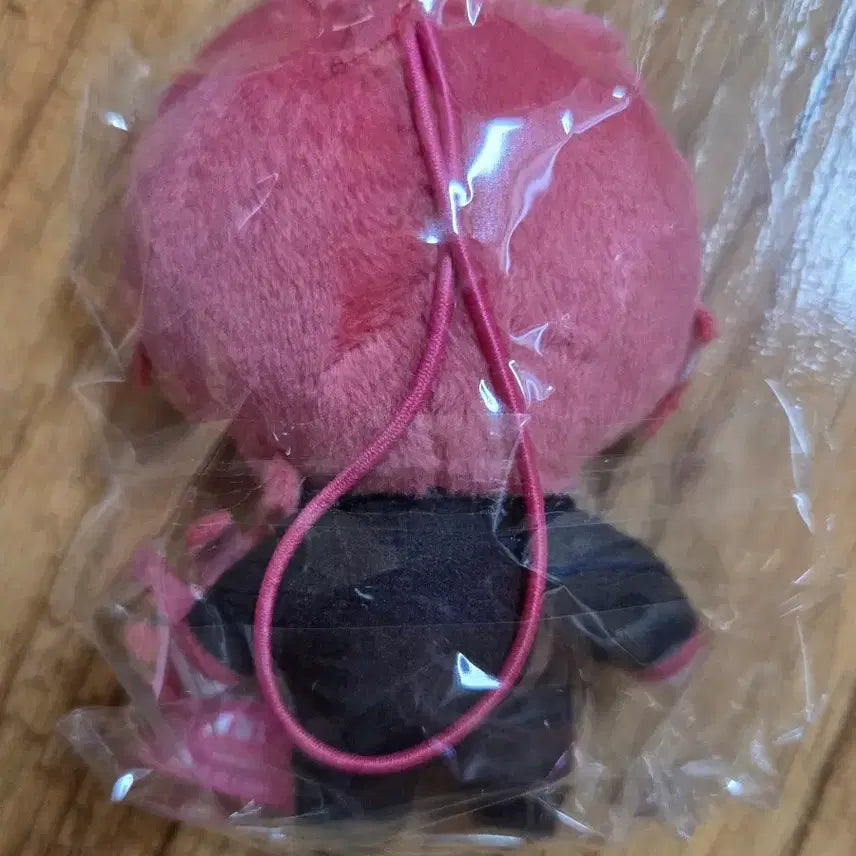 [BUNJANG] Kasane Teto Kapuko Friends Tednuigurumi / 미개봉)카사네 테토 카푸코 프렌즈 테드 누이구루미