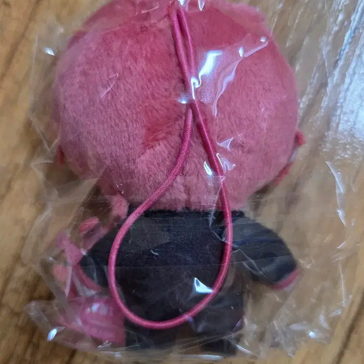 [BUNJANG] Kasane Teto Kapuko Friends Tednuigurumi / 미개봉)카사네 테토 카푸코 프렌즈 테드 누이구루미
