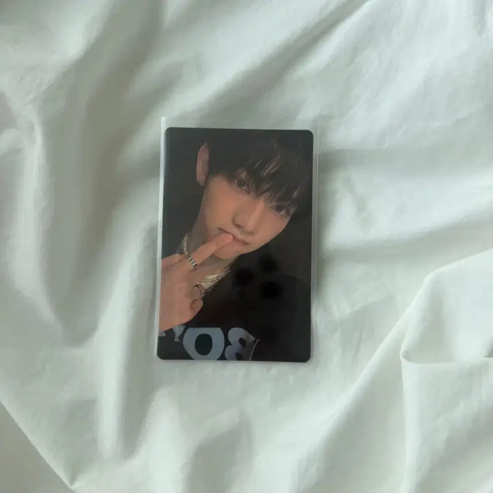 [BUNJANG] Panzi Photocard / 판저이 포카 양도