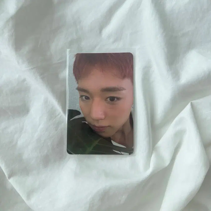 [BUNJANG] Park Jihoon Reflect Photocard / 박지훈 리플렉트 포카 양도