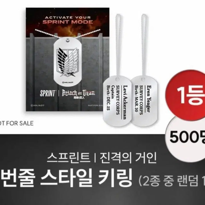 [BUNJANG] Attack on Titan Eren Yeager Dog Tag / 진격의 거인 군번줄 [에렌]