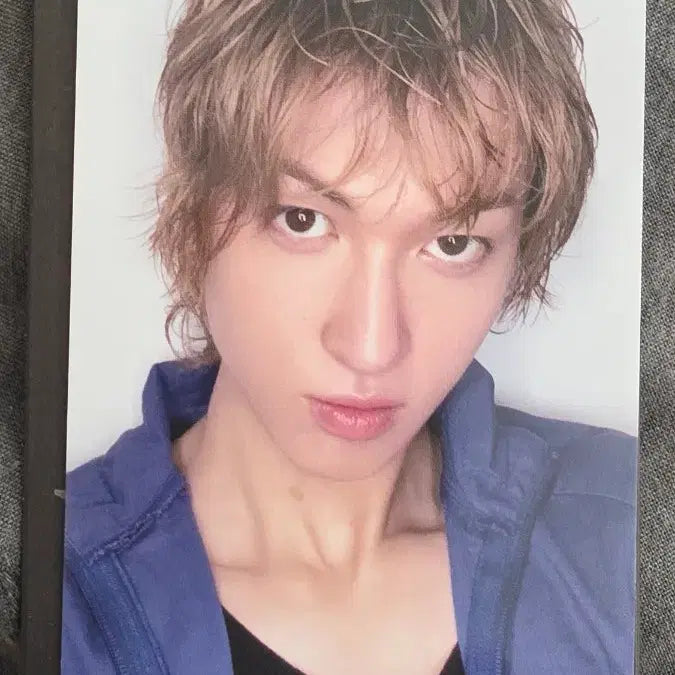 [BUNJANG] Martin Studio Photocard / 마틴 공방 포카