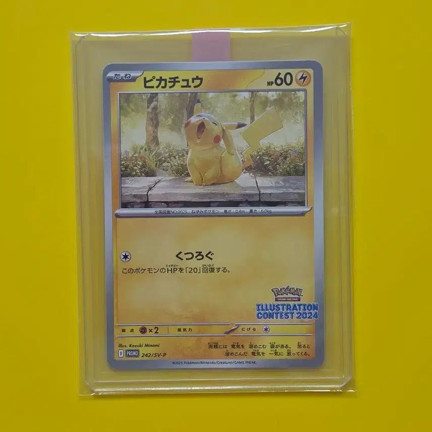 [BUNJANG] Pokemon Card Pikachu Promo Illustration Contest 2024 Japanese Version / 포켓몬카드 피카츄 프로모 일러스트 콘테스트2024 일본판