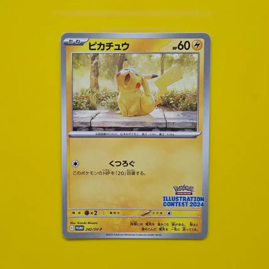 [BUNJANG] Pokemon Card Pikachu Promo Illustration Contest 2024 Japanese Version / 포켓몬카드 피카츄 프로모 일러스트 콘테스트2024 일본판