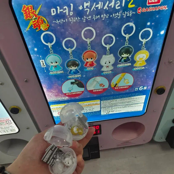 [BUNJANG] Gintama Mezushi Gacha Keychain - Elizabeth &amp; Sadaharu / 은혼 메지루시 가챠 엘리 사다하루 판매 (긴토키 2대1 교환가능 )