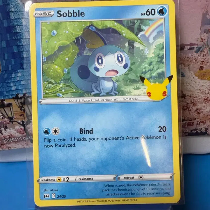 [BUNJANG] Pokemon Card Turtwig 25th Anniversary North America Edition B+ Grade / 북미 포켓몬카드 울머기 25주년 B+