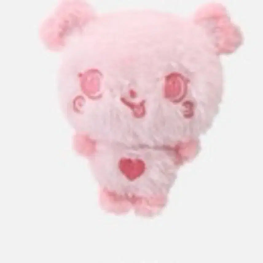 [BUNJANG] NCT WISH COLOR WINNIE Doll Pangyi / 엔시티위시 컬러위시돌 팡이 양도