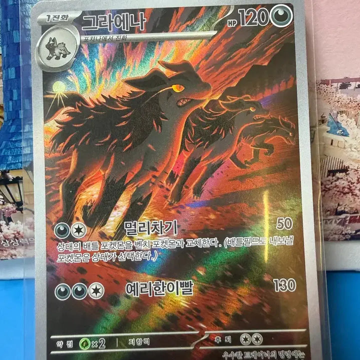 [BUNJANG] Pokémon Card Mightyena 100 Card Deck AR / 포켓몬카드 그라에나 100덱 AR