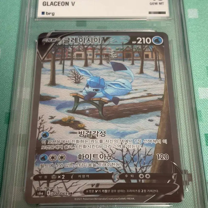 [BUNJANG] Glaysia V SR Special Edition BRG10 / 글레이시아v sr 특일 brg10 판매