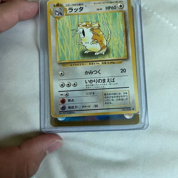 [BUNJANG] Pokemon Cards First Edition &amp; Ancient Cards / 포켓몬 카드 초판+고대 카드