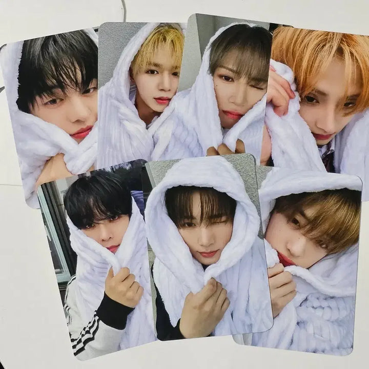 [BUNJANG] Alphadriveone OMG Studio Special Photocard Set / 알디원 omg 공방 스페셜 포카 1set