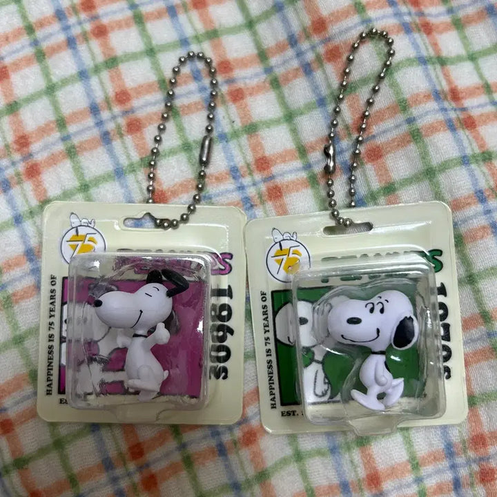 [BUNJANG] Snoopy 75th Anniversary Keychain Gacha Bundle Set / 스누피 75주년 키링 가챠 일괄