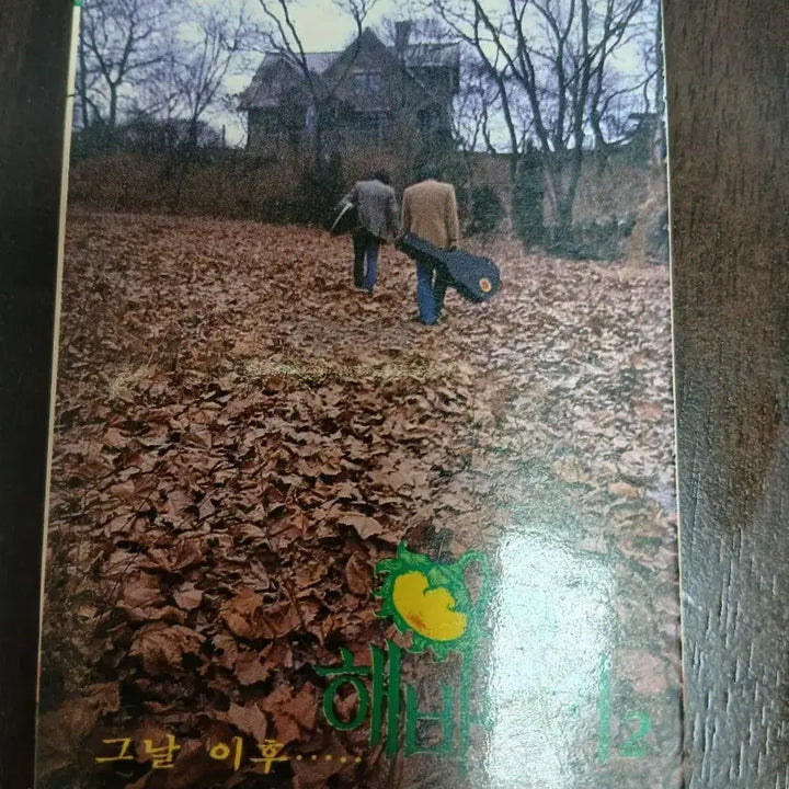 [BUNJANG] Sunflower Cassette Tape &