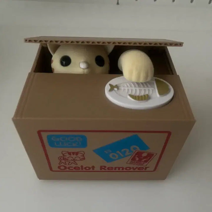 [BUNJANG] Novelty Cat Coin Bank / 고양이 저금통