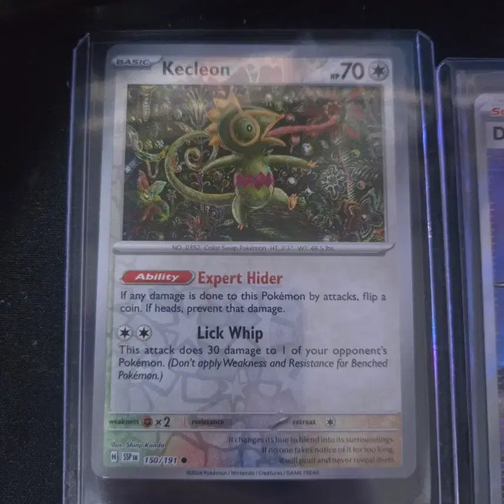 [BUNJANG] Pokemon Trading Cards North America Bundle Set / 북미판 카드들 일괄 판매합니다