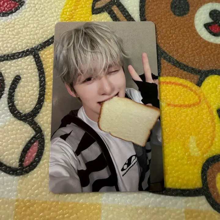 [BUNJANG] TWS Lucky Draw Jihoon Photocard / Tws 이즈위빵포카   지훈