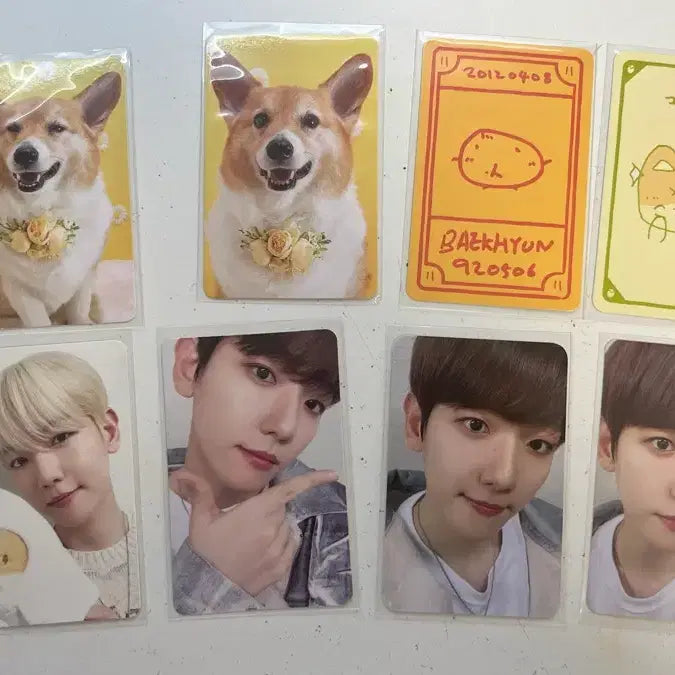 [BUNJANG] Plush Doll Merchandise Bundle Set / 터래기 인형 굿즈 양도