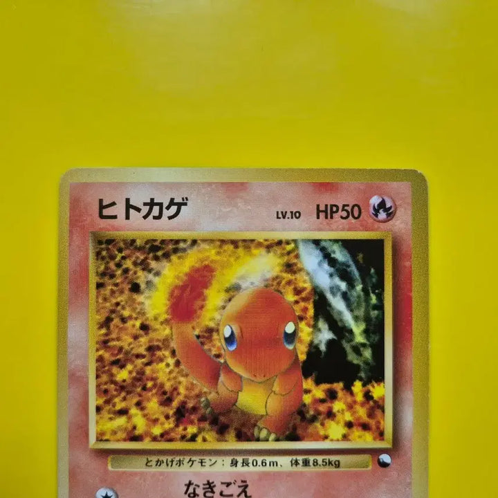 [BUNJANG] Pokemon Card Charizard 1st Edition Limited First Print Japanese Version Mint Condition / 포켓몬카드 s-급 극희소 용암속 파이리 1차한정초판 일본판 일판 미품
